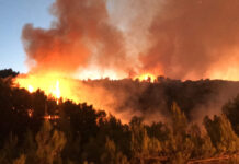 Υψηλός κίνδυνος πυρκαγιάς αύριο Κυριακή 25/8 – Συναγερμός σε έξι Περιφέρειες